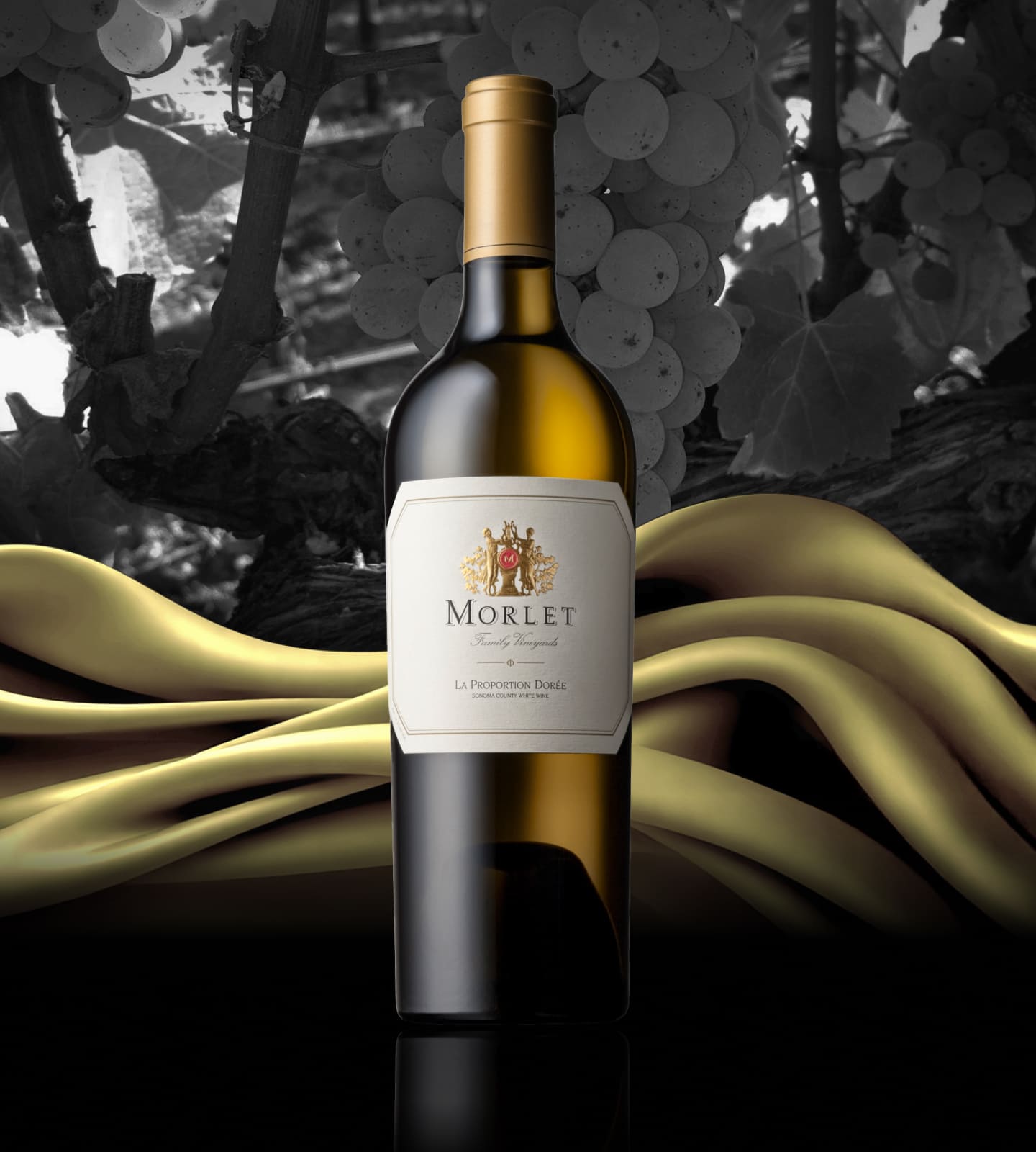 Sémillon-Sauvignon Blanc