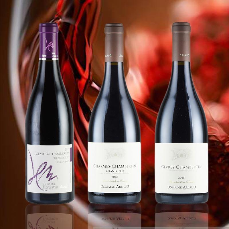 Meursault& Gevrey Chambertin 赤白ワインセット ジュヴレ