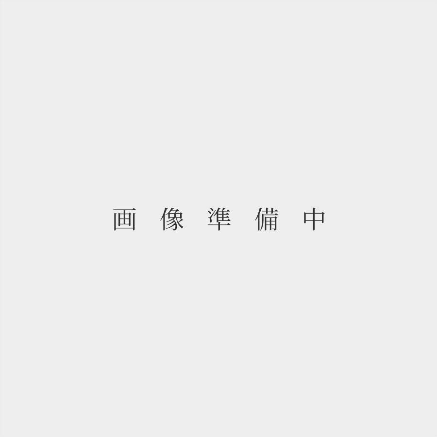ガヤ ( ピエヴェ サンタ レスティトゥータ ) ブルネッロ ディ