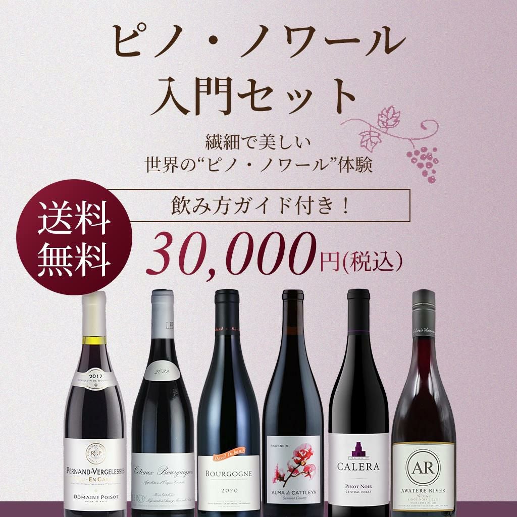 ピノノワール２本セット カリフォルニア ワイン ピノ ノワール 2本 ギフトセット ギフト