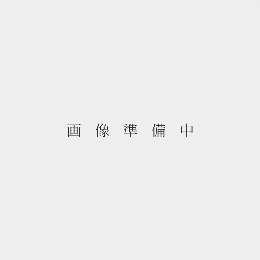 ドメーヌ デ ミロワール ミズイロ 2019 ラベル不良 Domaine des