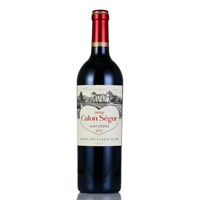 シャトー カロン セギュール 2021 Chateau Calon Segur フランス 