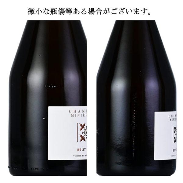 ミニエール ブリュット ゼロ NV Miniere F&R Brut Zero フランス